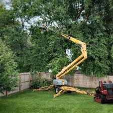 Best Tree Risk Assessment  in Alamo, GA