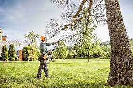 Lawn Irrigation Installation and Maintenance in Alamo, GA