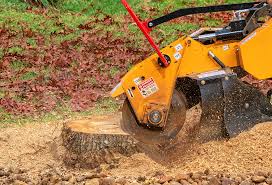 Best Soil Testing and Treatment  in Alamo, GA